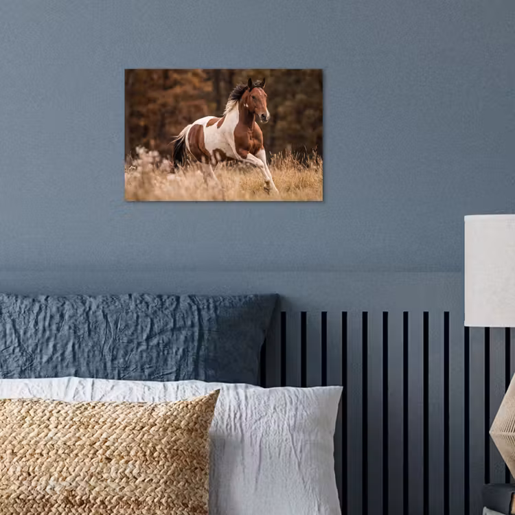 Poster - Pferd - Braun - Gras — 3