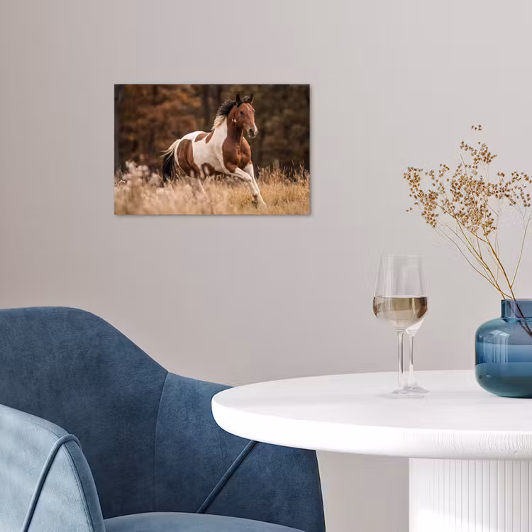 Poster - Pferd - Braun - Gras — 4