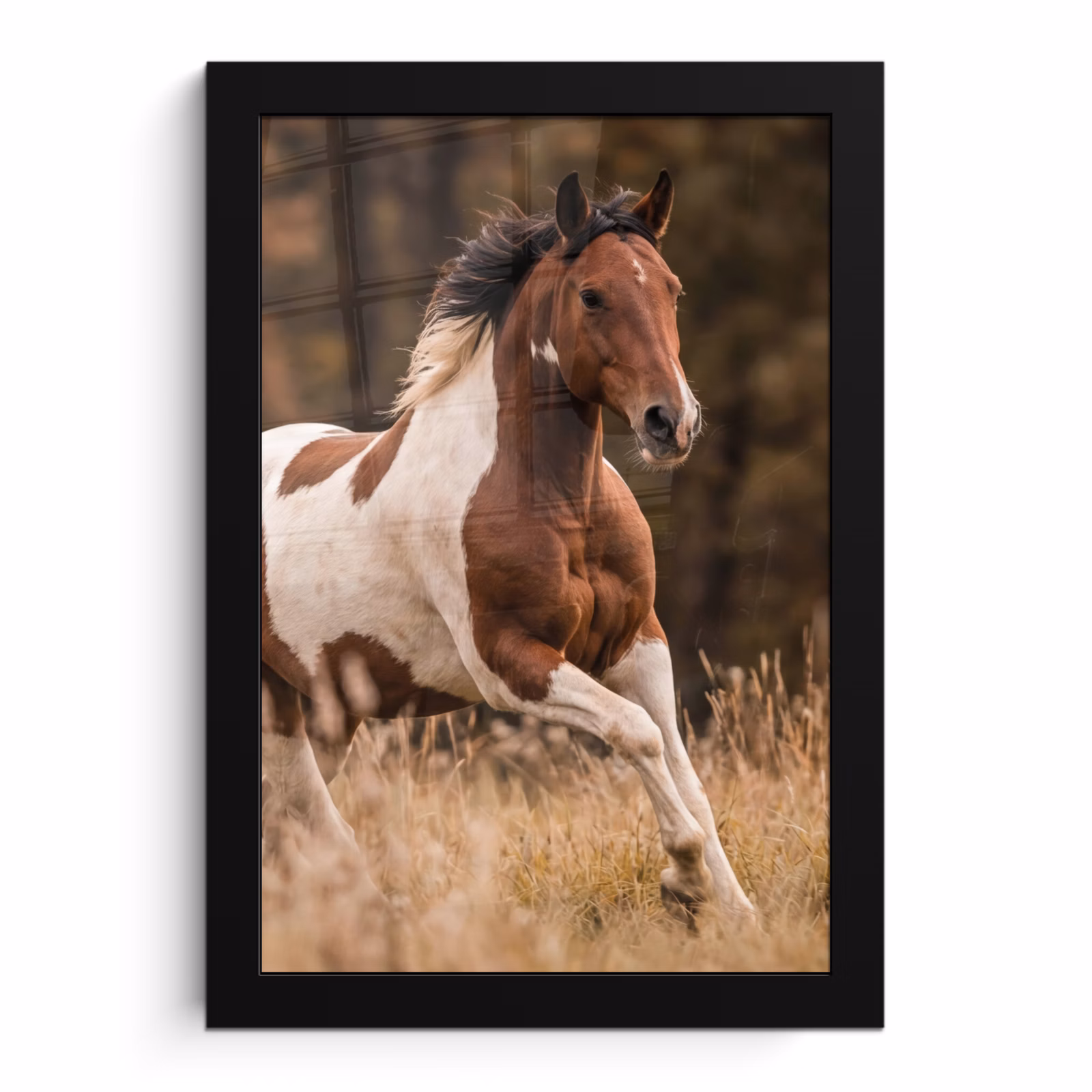 Bilder mit Rahmen - Pferd - Braun - Gras — 1