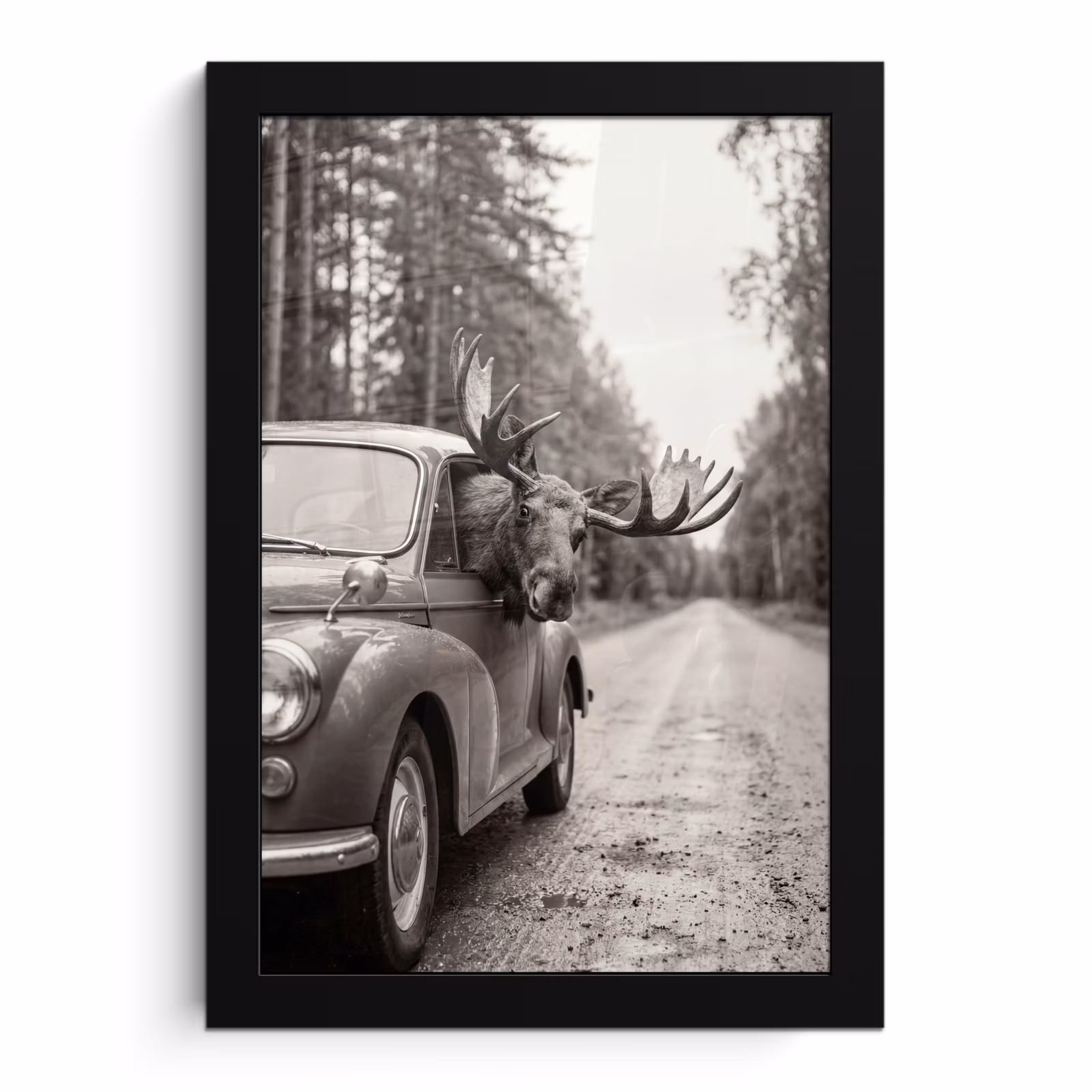 Bilder mit Rahmen - Elch - Auto - Geweih - Schwarz - Weiß — 1