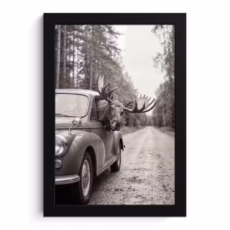 Bilder mit Rahmen - Elch - Auto - Geweih - Schwarz - Weiß — 1