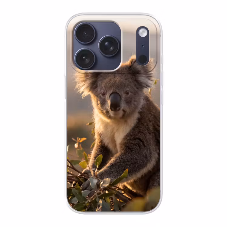 Handyhülle - Koala - Blätter - Morgenlicht — 1