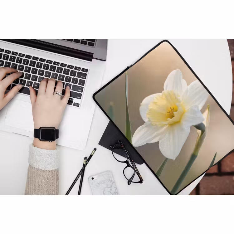 Laptop hülle - Narzisse - Blume - Minimalistisch — 3