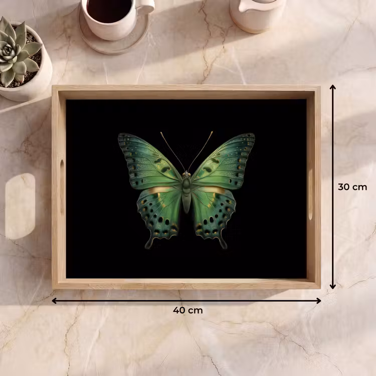 Tablett - Schmetterling - Grün - Tiefe — 9