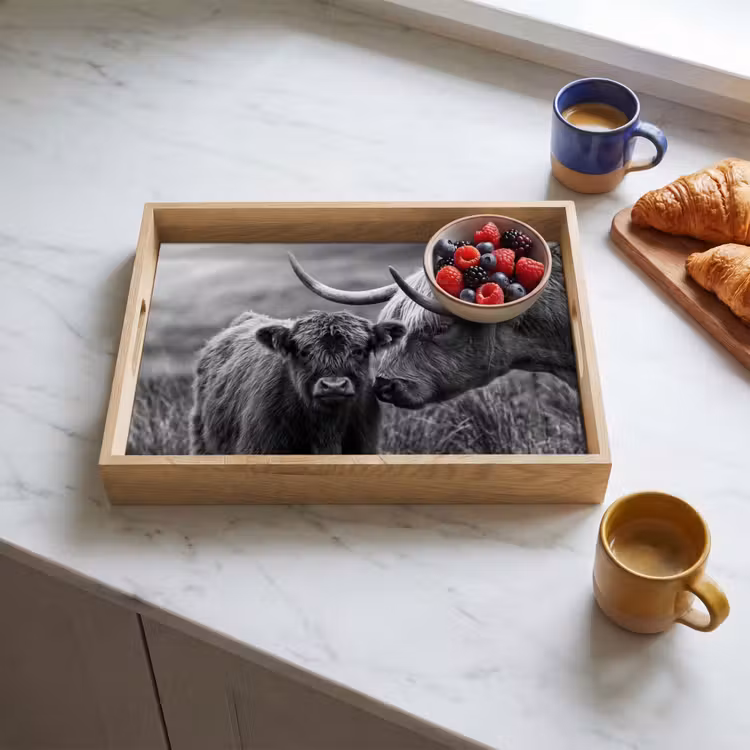 Tablett - Schottischer Highlander - Kalb - Schwarz - Weiß — 4