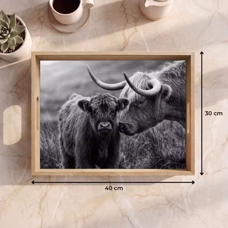 Tablett - Schottischer Highlander - Kalb - Schwarz - Weiß — 9