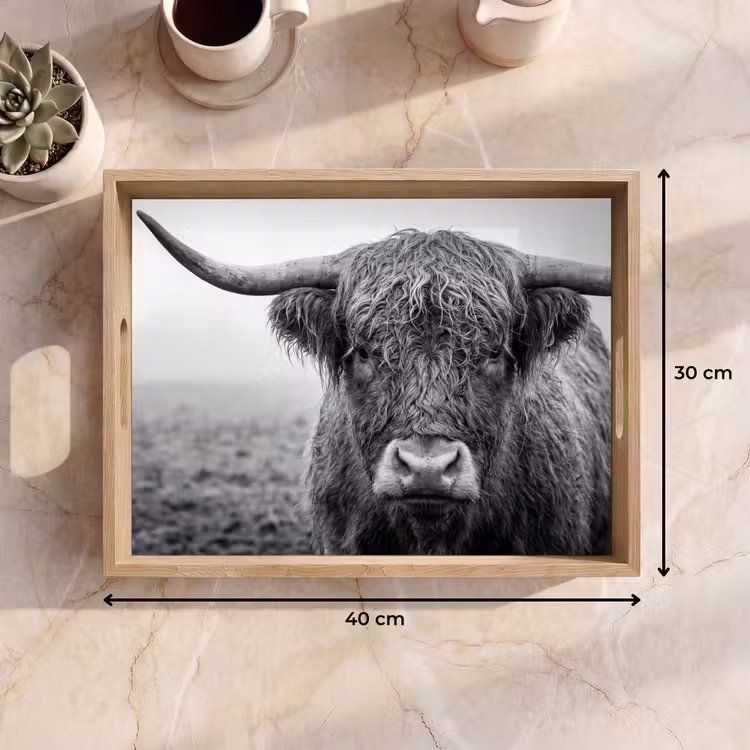 Tablett - Schottischer Highlander - Schwarz - Weiß - Gras — 9