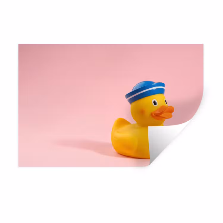 Wandtattoo – Matrose - Ente - Rosa — 1