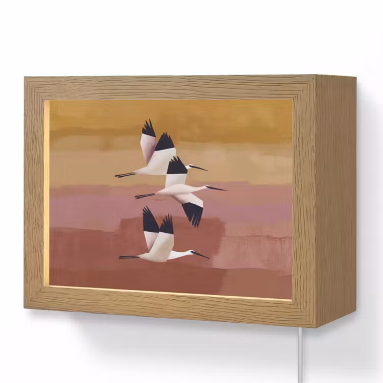 Lightbox - Wandleuchte - Vögel - Schnabel - Abstrakt — 1