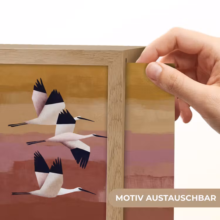 Lightbox - Wandleuchte - Vögel - Schnabel - Abstrakt — 6