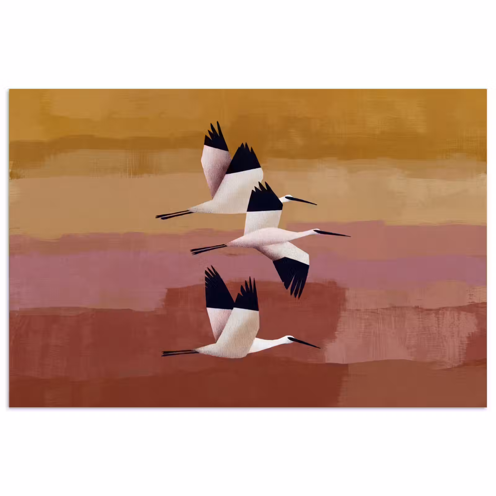 Poster - Vögel - Schnabel - Abstrakt — 1