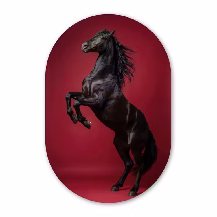 Alu-Dibond-Bild Oval - Hengst - Steigert - Rot — 1