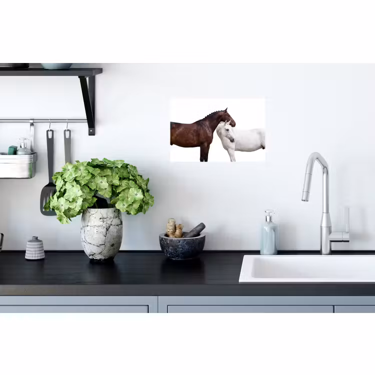 Wandtattoo – Pferd - Modern - Balance — 2