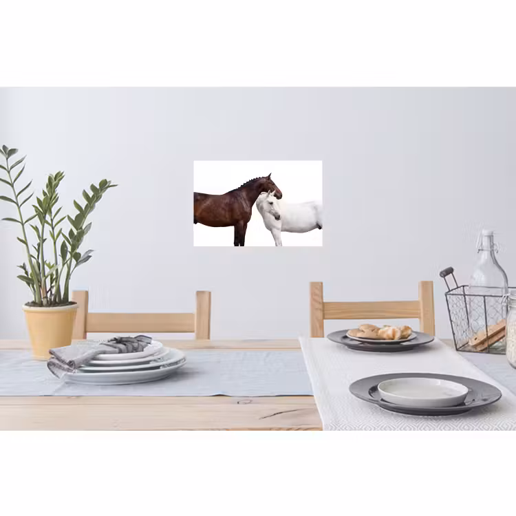 Wandtattoo – Pferd - Modern - Balance — 4