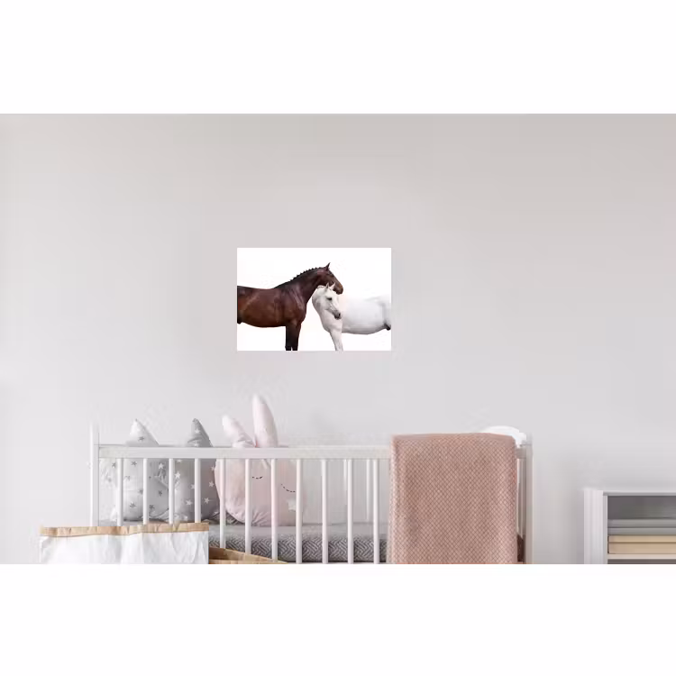 Wandtattoo – Pferd - Modern - Balance — 5