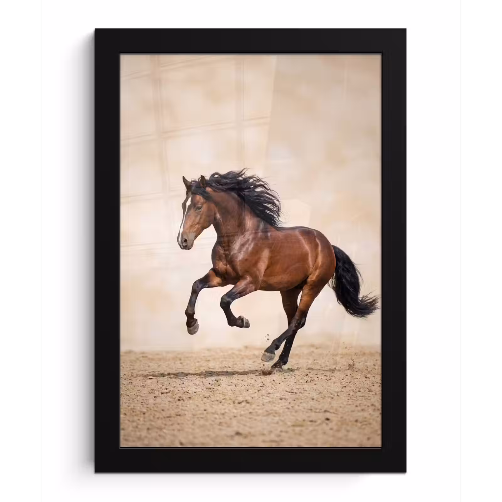Bilder mit Rahmen - Pferd - Galopp - Energie — 1