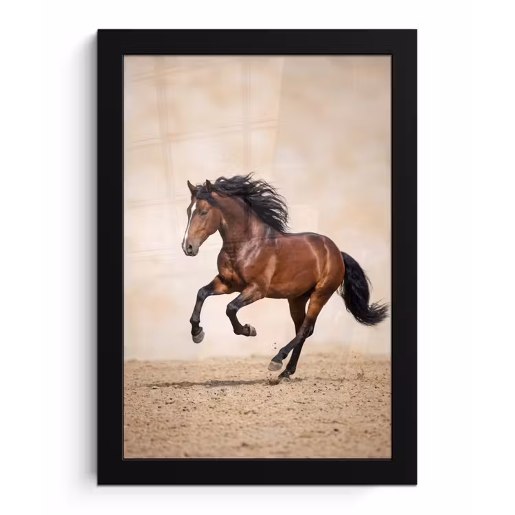 Bilder mit Rahmen - Pferd - Galopp - Energie — 1