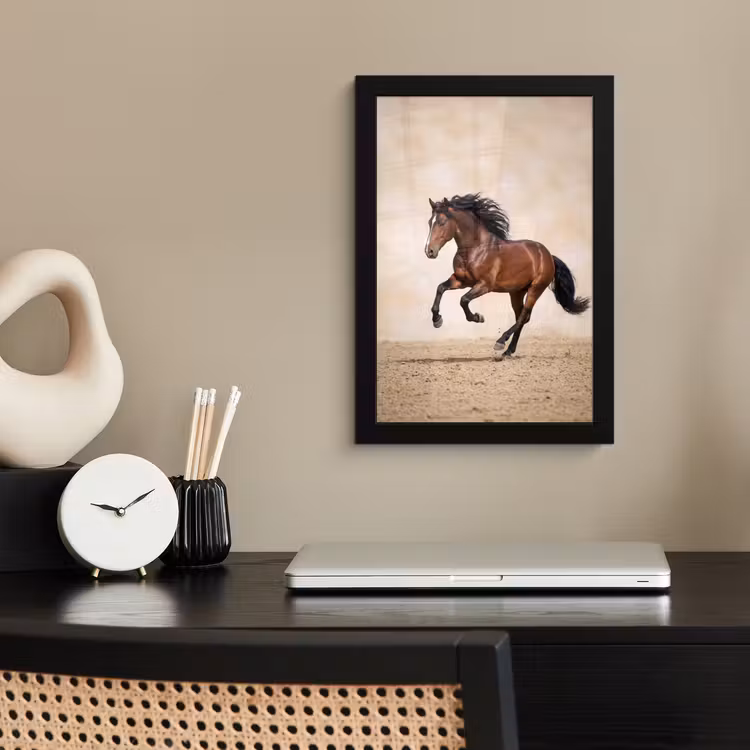 Bilder mit Rahmen - Pferd - Galopp - Energie — 2