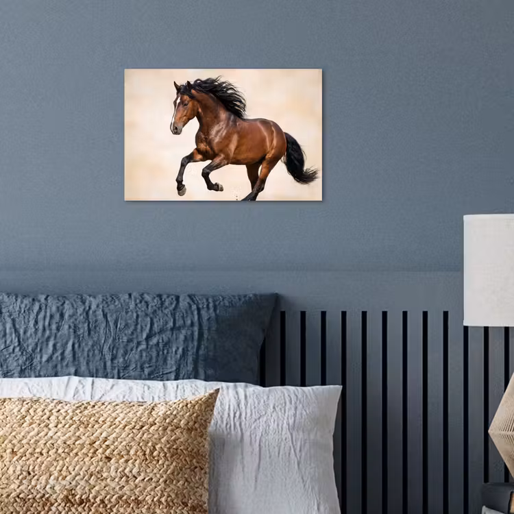 Poster - Pferd - Galopp - Energie — 3