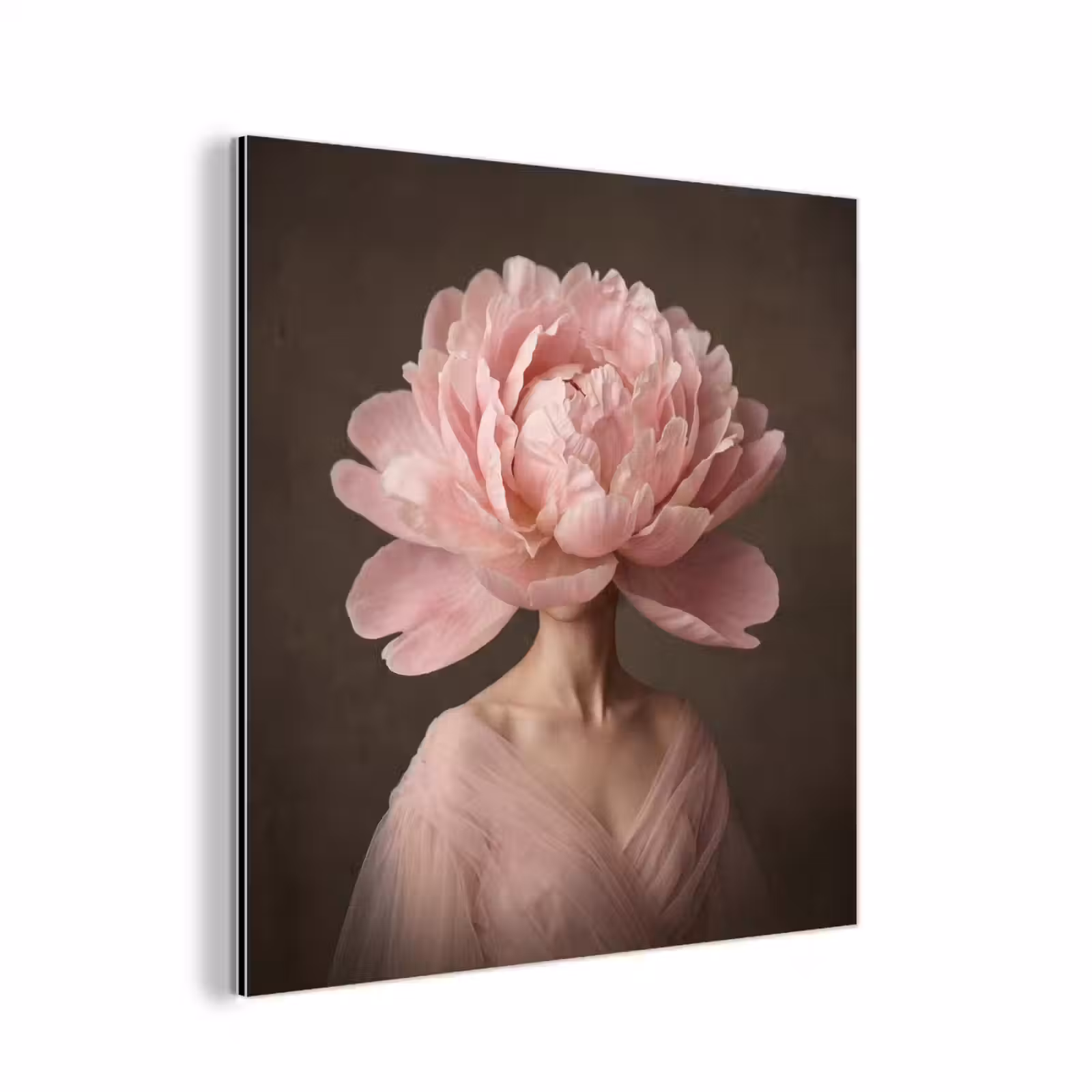 Alu-Dibond-Bild - Gesicht - Rose - Rosa — 1