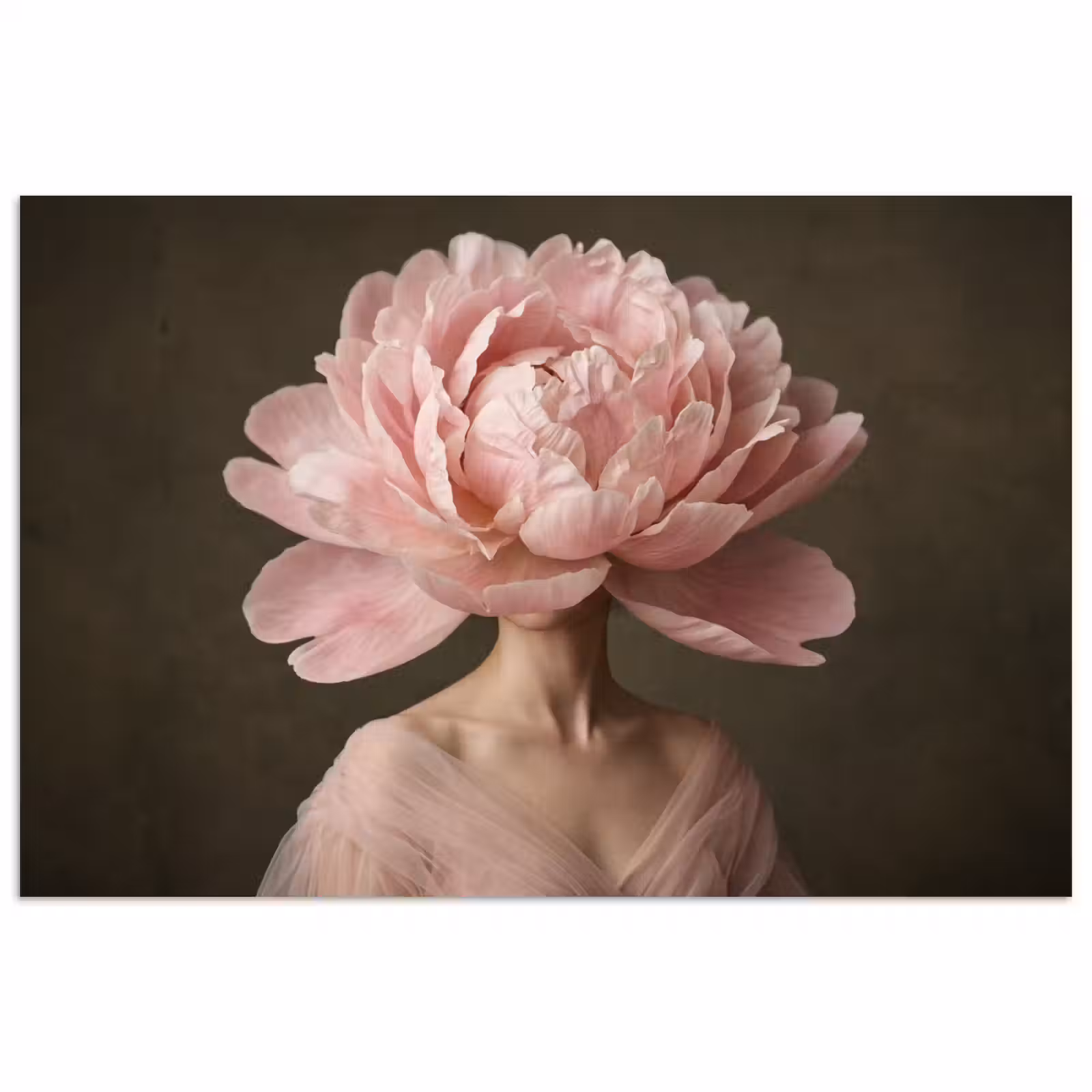 Poster - Gesicht - Rose - Rosa — 1