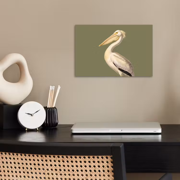 Poster - Pelikan - Weiß - Vogel - Klassisch - Natur — 2