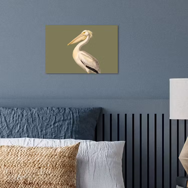 Poster - Pelikan - Weiß - Vogel - Klassisch - Natur — 3