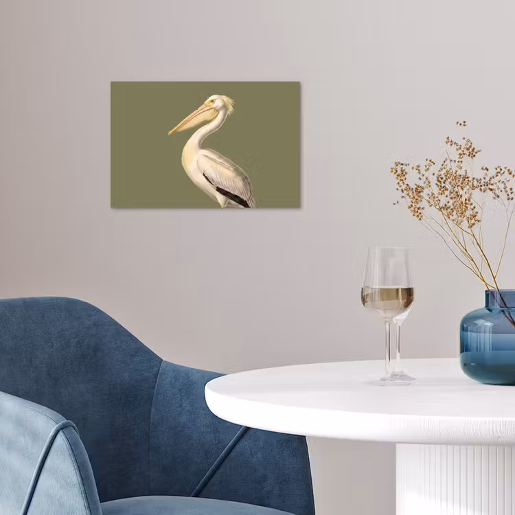 Poster - Pelikan - Weiß - Vogel - Klassisch - Natur — 4