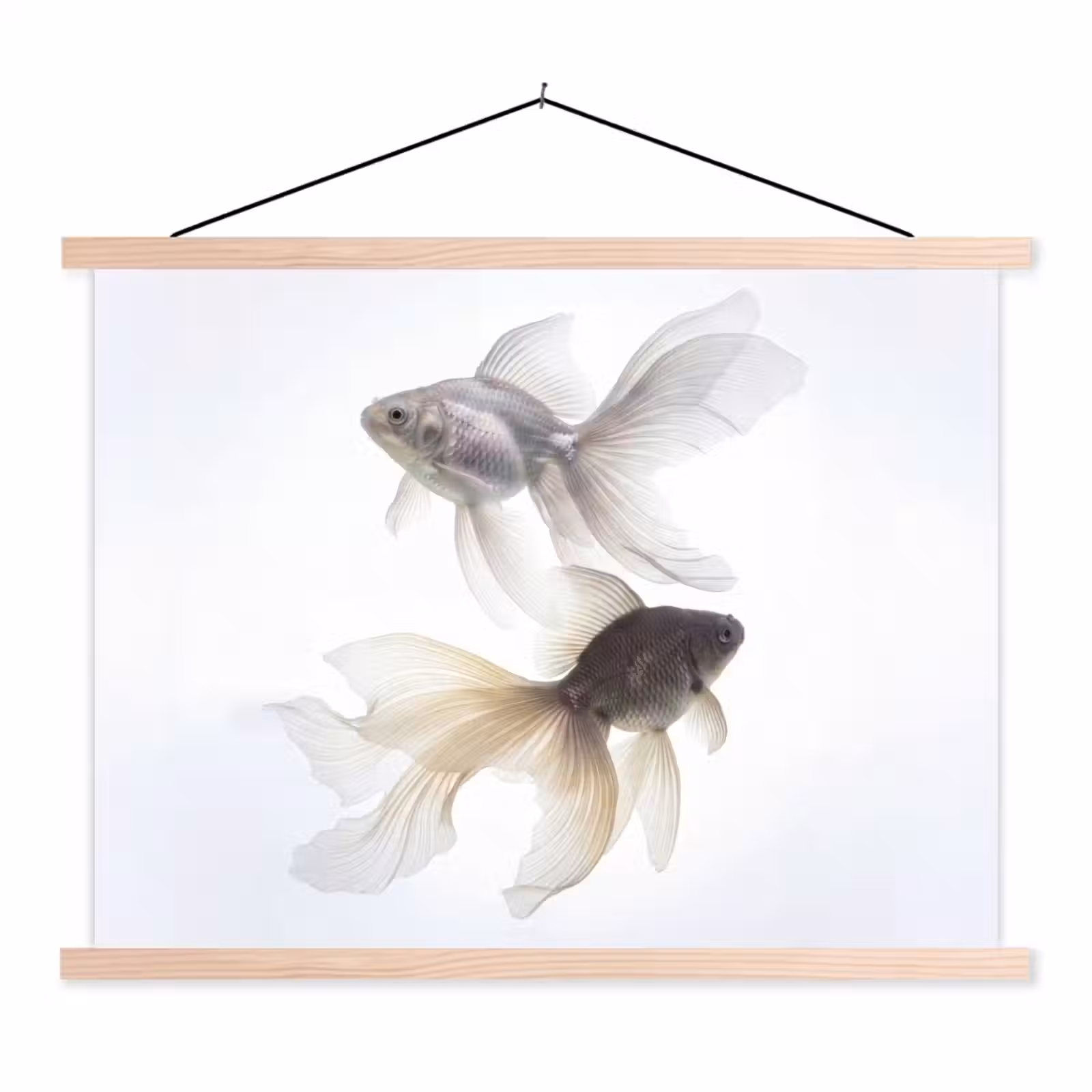 Stoffbild - Goldfisch - Modern - Weiß — 1