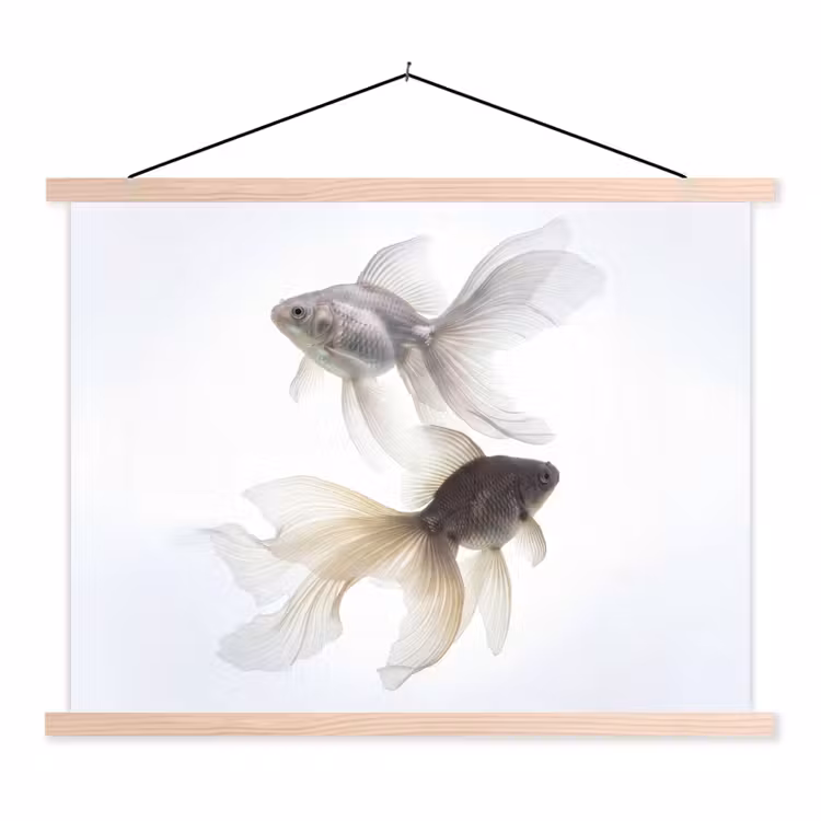 Stoffbild - Goldfisch - Modern - Weiß — 1