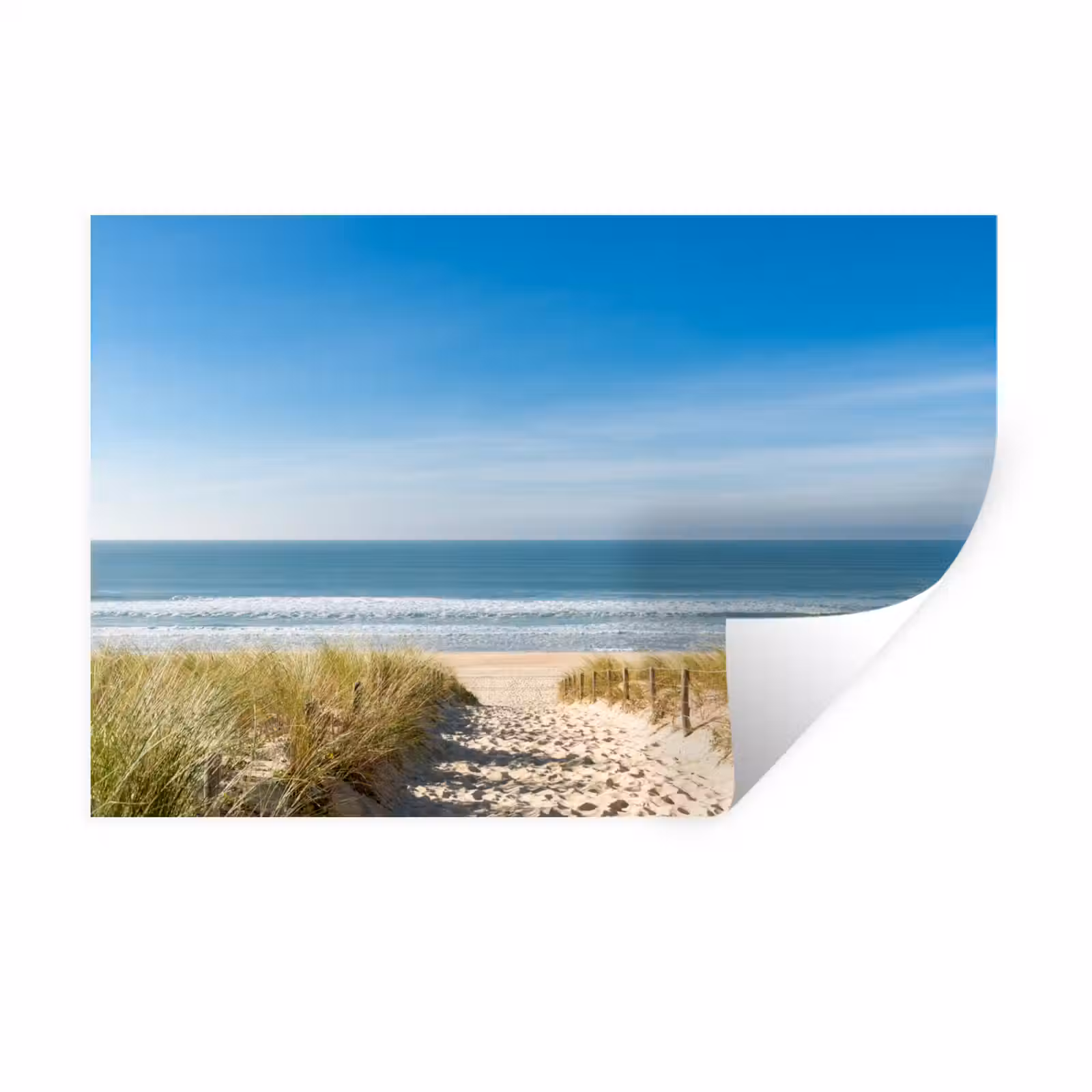 Wandtattoo – Strand - Meer - Düne - Sand - Sommer — 1