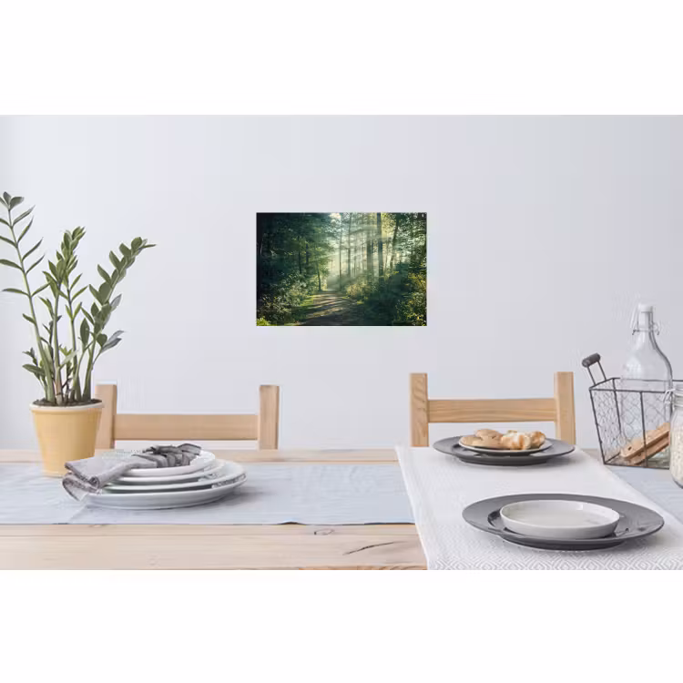Wandtattoo – Wald - Weg - Sonne - Bäume - Grün - Natur — 4