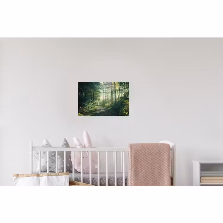 Wandtattoo – Wald - Weg - Sonne - Bäume - Grün - Natur — 5