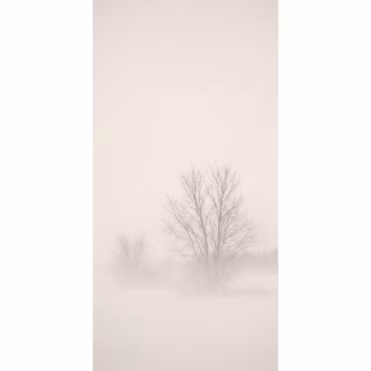 Tapete - Baum - Nebel - Schnee - Winter - Minimalistisch — 2