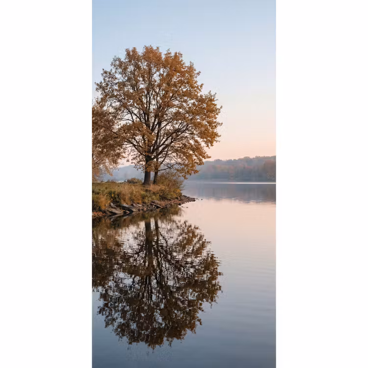 Tapete - Bäume - Reflexion - Wasser - Sonnenaufgang - Gelassenheit — 2