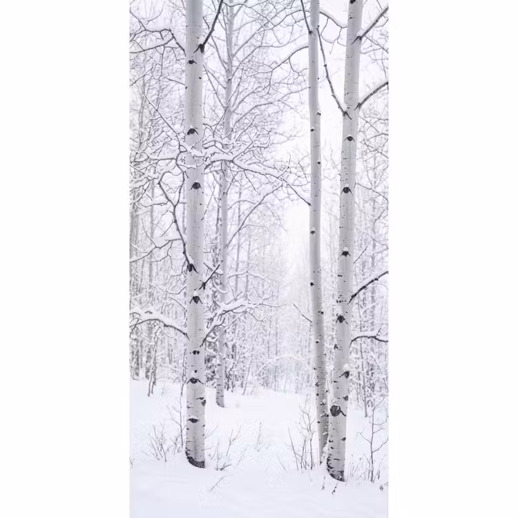 Tapete - Birke - Schnee - Winter - Wald - Weiß — 2