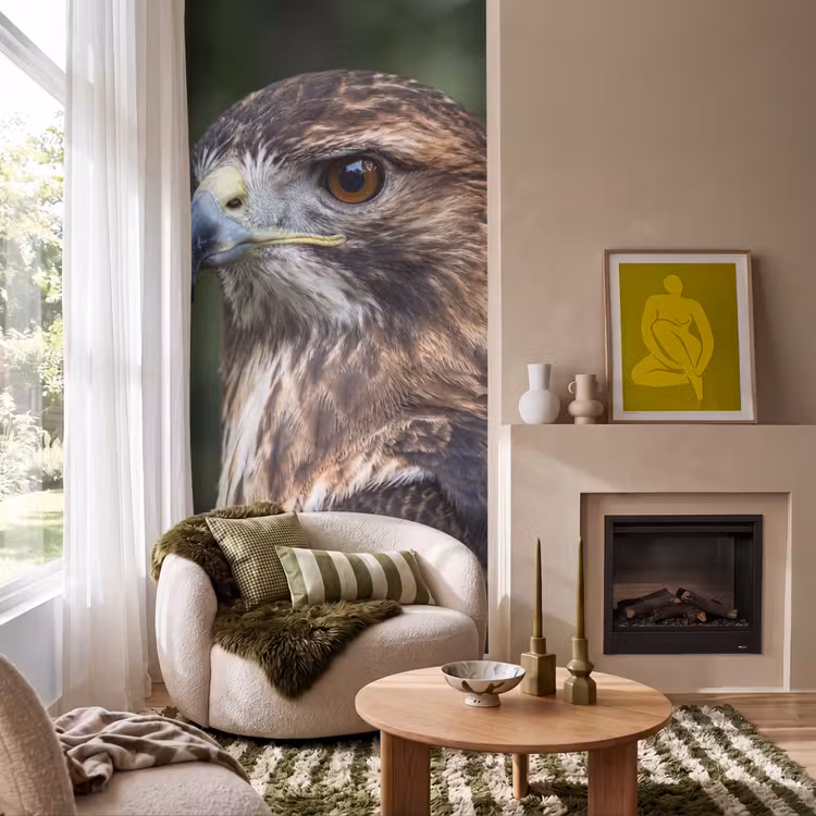 Tapete - Bussard - Raubvogel - Natur - Braun — 1