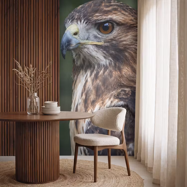 Tapete - Bussard - Raubvogel - Natur - Braun — 4