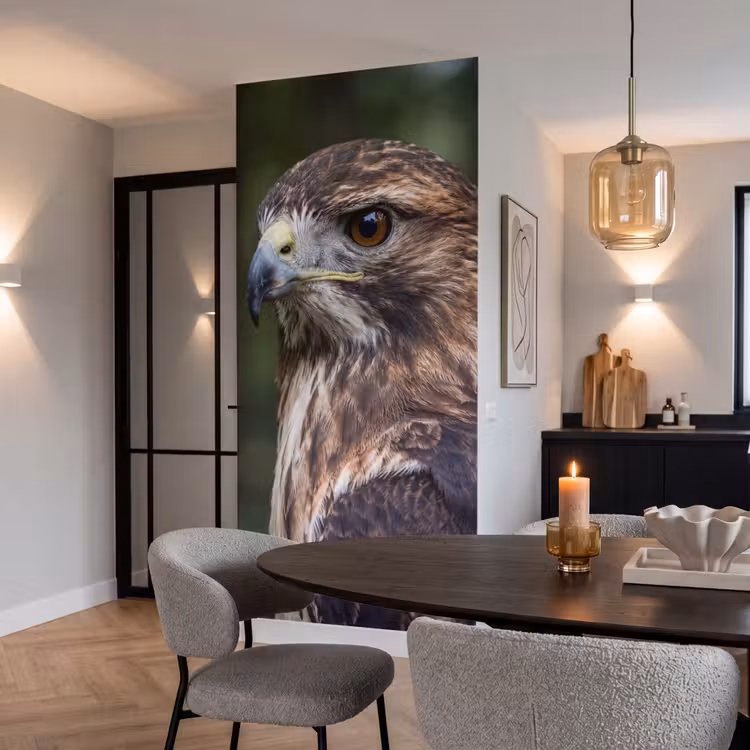 Tapete - Bussard - Raubvogel - Natur - Braun — 5