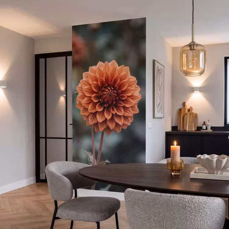 Tapete - Dahlie - Blume - Natur - Atmosphärisch — 5