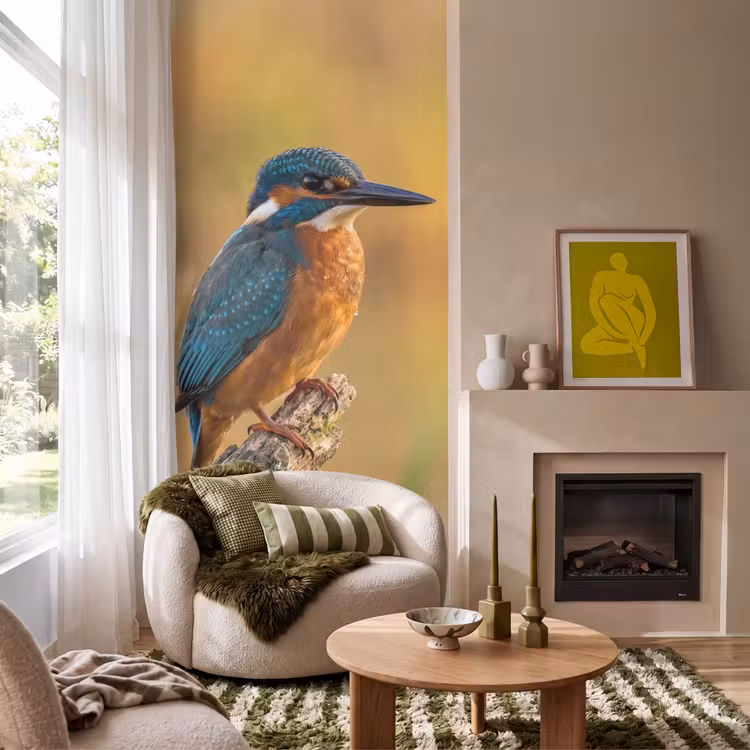 Tapete - Eisvogel - Zweig - Wasser - Bunt - Lebendig — 1