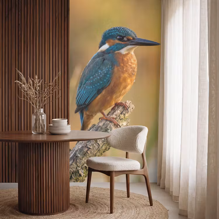 Tapete - Eisvogel - Zweig - Wasser - Bunt - Lebendig — 4