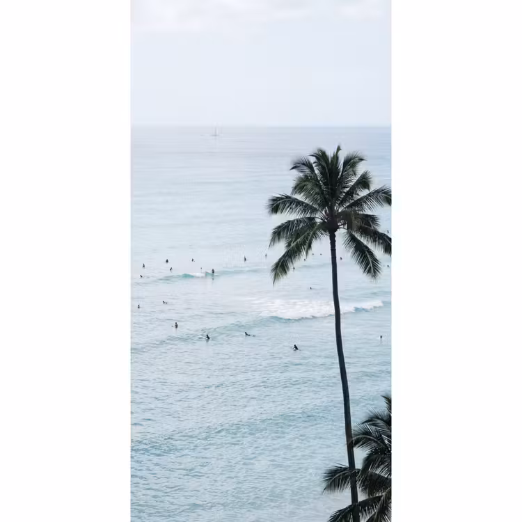 Tapete - Meer - Palmen - Surfer — 2