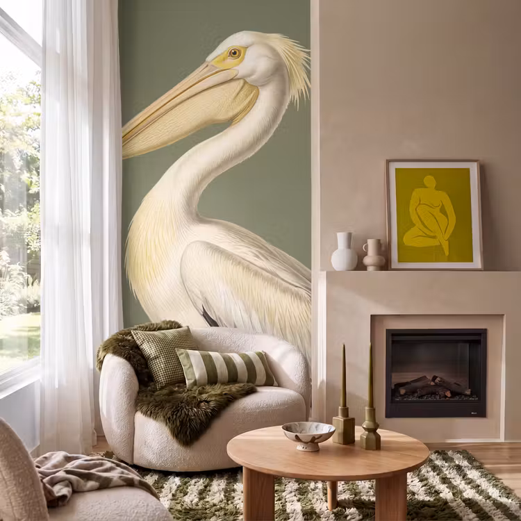 Tapete - Pelikan - Weiß - Vogel - Klassisch - Natur — 1