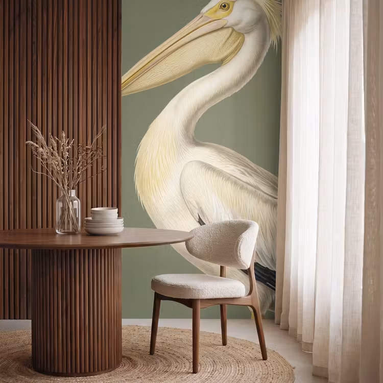 Tapete - Pelikan - Weiß - Vogel - Klassisch - Natur — 4