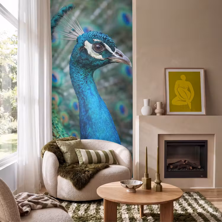 Tapete - Pfau - Federn - Blau — 1