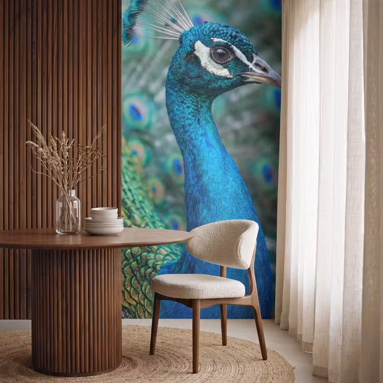 Tapete - Pfau - Federn - Blau — 4