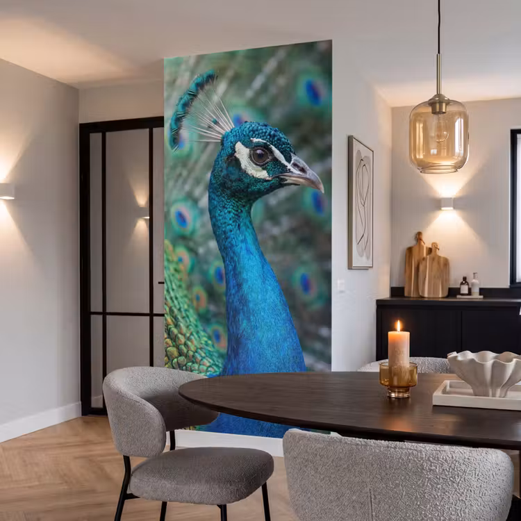 Tapete - Pfau - Federn - Blau — 5