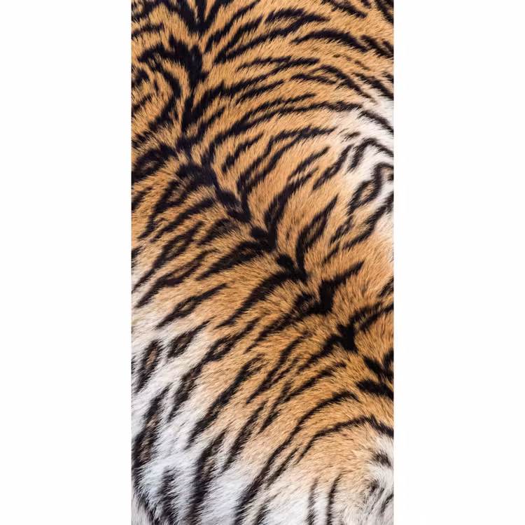 Tapete - Realistisch - Tigerfell - Schwarz — 2