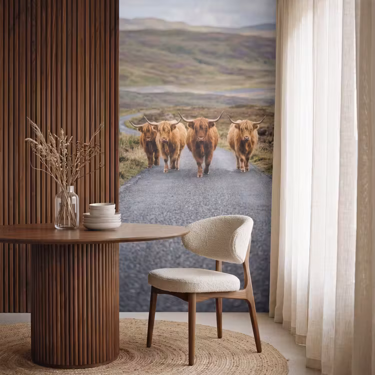 Tapete - Schottische Highlander - Straße - Landschaft - Herde — 4